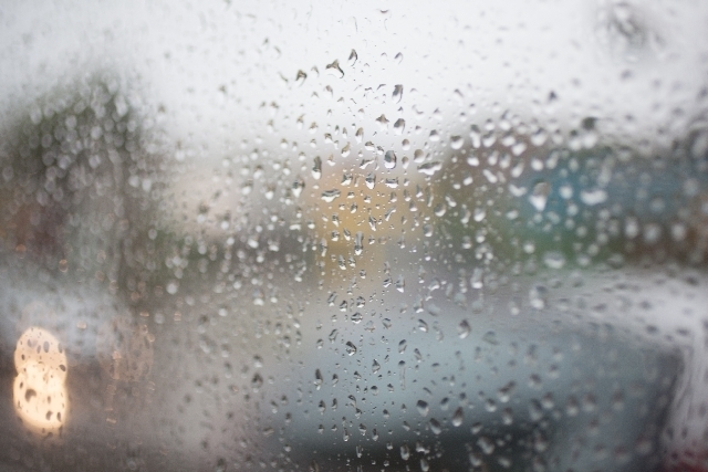 豊田市美術館に雨の日におでかけをする 遊楽ちゅうぶ